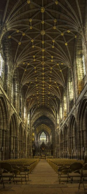 [img] Chester Cathedral Lierne